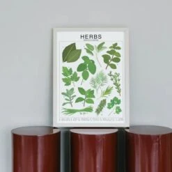 Herbs Species ID Chart - Botanical Garden Art Print -Eds Plant Shop herbs species id chart botanical garden art print 392538