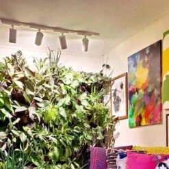 Highland™ LED Track Light System For Indoor Plants 26 Highland™ LED Track Light System For Indoor Plants -Eds Plant Shop highland led track light system for indoor plants 578085