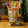 Hoffman Cactus Soil - 10 Quarts -Eds Plant Shop hoffman cactus soil 10 quarts 333243