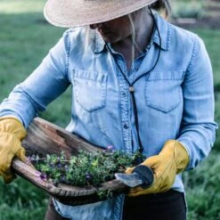 Barebones Hori Hori Ultimate Gardening Tool – The All-in-One Outdoor & Garden Blade -Eds Plant Shop hori hori ultimate gardening tool 213134