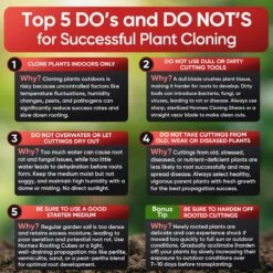 Hormex Rooting Cubes – Organic Peat & Coco Plugs For Cuttings & Seedlings 13 Hormex Rooting Cubes – Organic Peat & Coco Plugs For Cuttings & Seedlings -Eds Plant Shop hormex rooting cubes organic peat coco plugs for cuttings seedlings 5274905