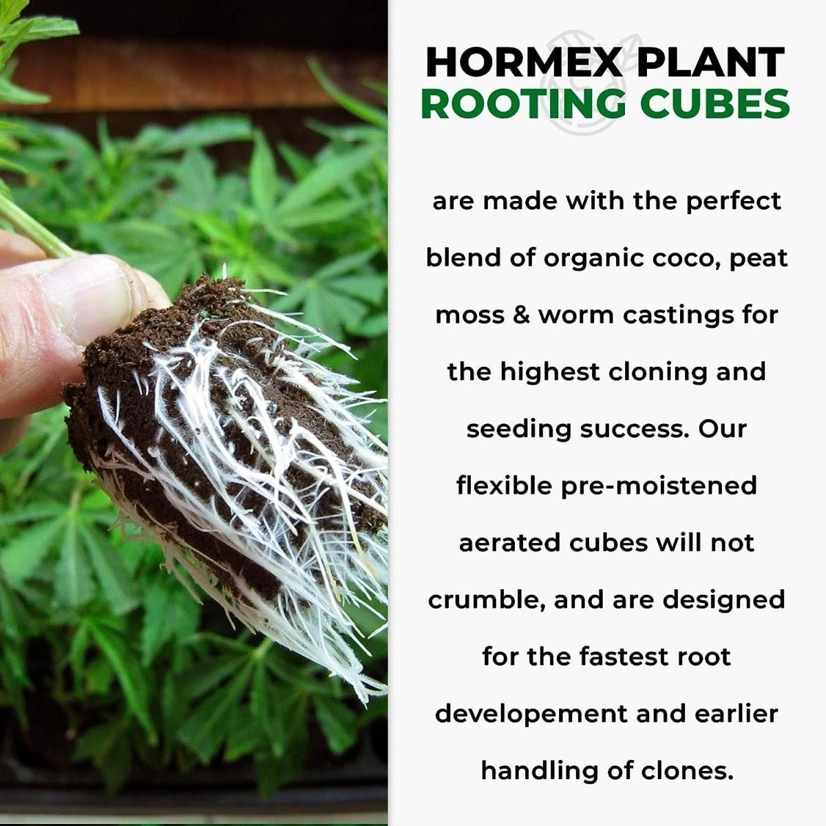 Hormex Rooting Cubes – Organic Peat & Coco Plugs For Cuttings & Seedlings 6 Hormex Rooting Cubes – Organic Peat & Coco Plugs For Cuttings & Seedlings - Image 4