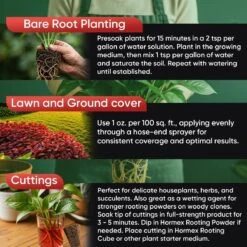 Hormex Rooting Hormone Concentrate With B1 – Root Growth & Plant Health Booster -Eds Plant Shop hormex rooting hormone concentrate with b1 root growth plant health booster 721411