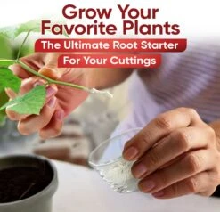 Hormex Rooting Powder #1 – 0.10% IBA Cloning & Rooting Hormone For Softwood, Herbs & Succulent Cuttings -Eds Plant Shop hormex rooting powder 1 010 iba cloning rooting hormone for softwood herbs succulent cuttings 2320440