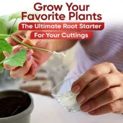 Hormex Rooting Powder #16 – 1.60% IBA Professional-Grade Cloning Hormone For Difficult Hardwood Cuttings -Eds Plant Shop hormex rooting powder 16 160 iba professional grade cloning hormone for difficult hardwood cuttings 5847327