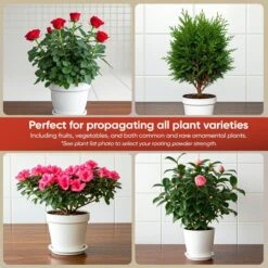 Hormex Rooting Powder #3 – 0.30% IBA Cloning Hormone For Home & Garden Cuttings -Eds Plant Shop hormex rooting powder 3 030 iba cloning hormone for home garden cuttings 1302606