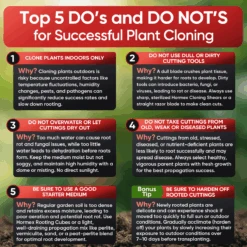 Hormex Rooting Powder #8 – 0.80% IBA Cloning Hormone For Semi-Hardwood Houseplants & Tree Cuttings 21 Hormex Rooting Powder #8 – 0.80% IBA Cloning Hormone For Semi-Hardwood Houseplants & Tree Cuttings -Eds Plant Shop hormex rooting powder 8 080 iba cloning hormone for semi hardwood houseplants tree cuttings 1363849