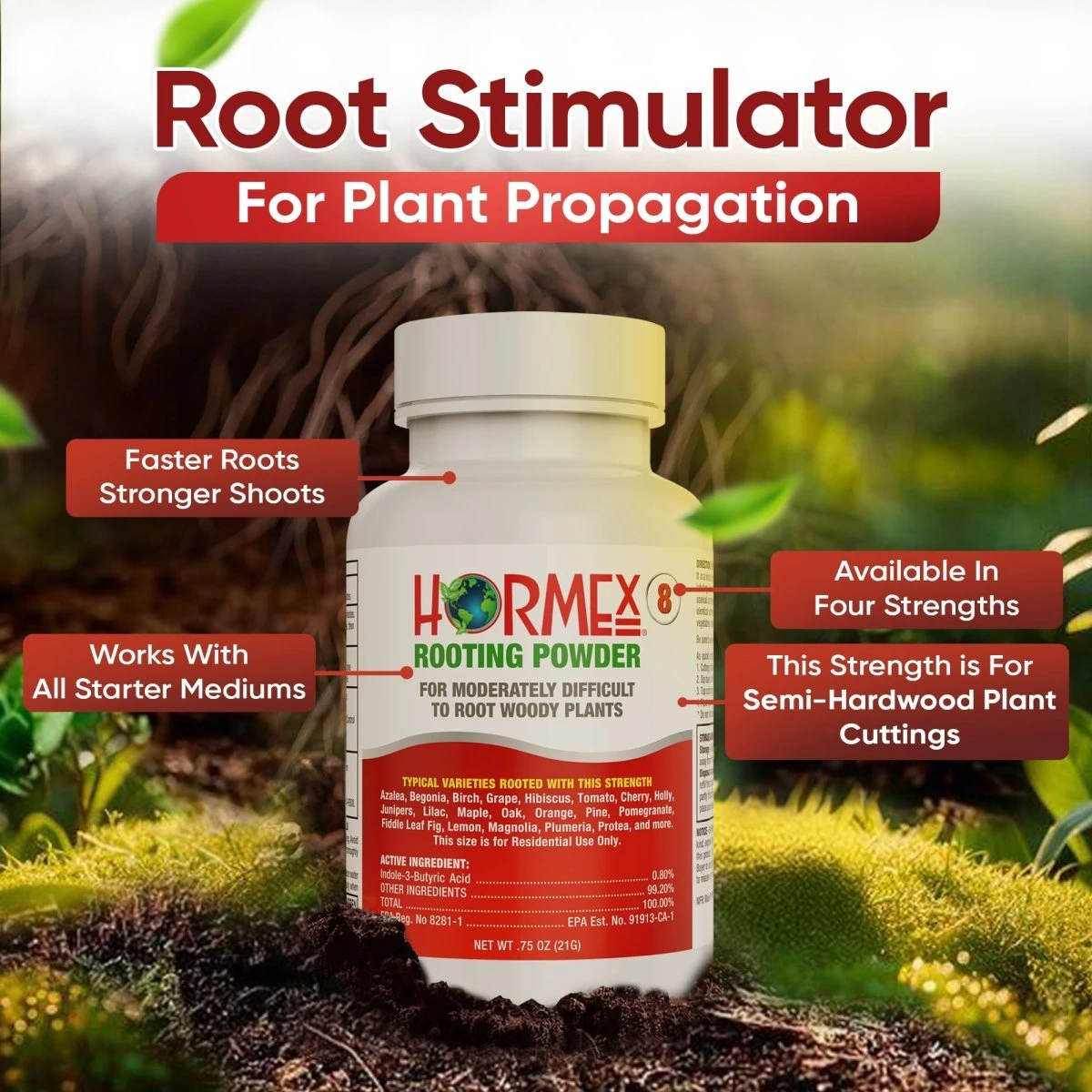 Hormex Rooting Powder #8 – 0.80% IBA Cloning Hormone For Semi-Hardwood Houseplants & Tree Cuttings 8 Hormex Rooting Powder #8 – 0.80% IBA Cloning Hormone For Semi-Hardwood Houseplants & Tree Cuttings - Image 6