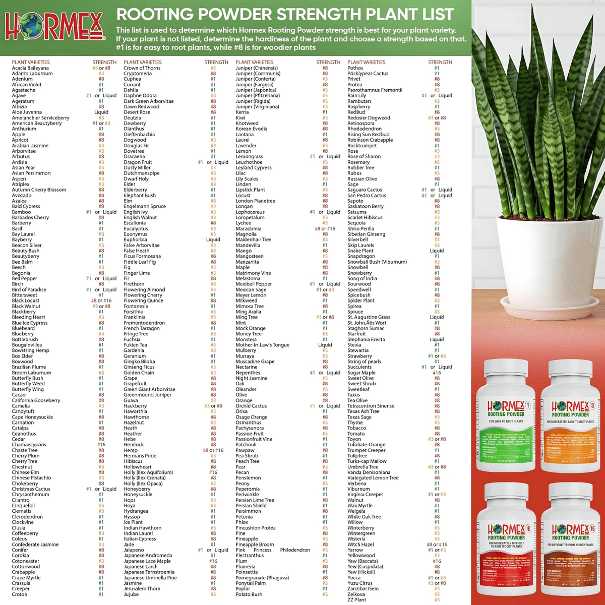 Hormex Rooting Powder #8 – 0.80% IBA Cloning Hormone For Semi-Hardwood Houseplants & Tree Cuttings 10 Hormex Rooting Powder #8 – 0.80% IBA Cloning Hormone For Semi-Hardwood Houseplants & Tree Cuttings - Image 8