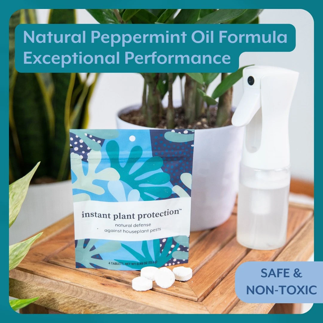 Houseplant DEFENSE Bundle | Natural Pest Control + Gloves + Spray Bottle 4 Houseplant DEFENSE Bundle | Natural Pest Control + Gloves + Spray Bottle - Image 2