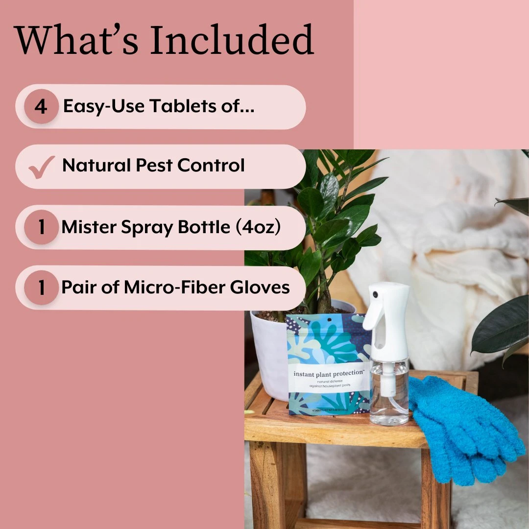 Houseplant DEFENSE Bundle | Natural Pest Control + Gloves + Spray Bottle 8 Houseplant DEFENSE Bundle | Natural Pest Control + Gloves + Spray Bottle - Image 6