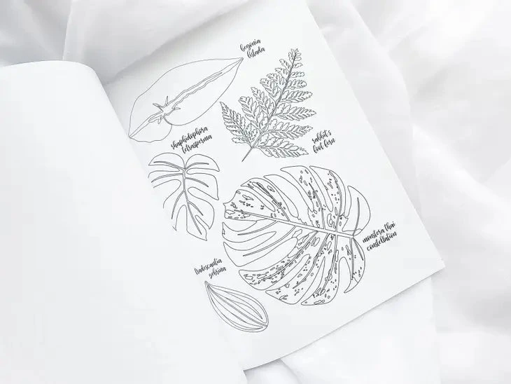 Houseplant Lover Coloring Book | 50 Pages Of Botanical Bliss 5 Houseplant Lover Coloring Book | 50 Pages Of Botanical Bliss - Image 3