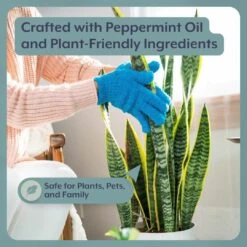 Instant Plant Food- Complete Plant Care Bundle For HOUSEPLANTS -Eds Plant Shop instant plant food complete plant care bundle for houseplants 108074