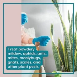 Instant Plant Food- The ULTIMATE Plant Parent Bundle -Eds Plant Shop instant plant food the ultimate plant parent bundle 516138