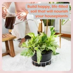 Instant Plant Food- The ULTIMATE Plant Parent Bundle -Eds Plant Shop instant plant food the ultimate plant parent bundle 915214