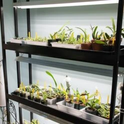 Integrated 4' LED Grow Light– Dual T8 Sun White Pro Spectrum -Eds Plant Shop integrated 4 led grow light dual t8 sun white pro spectrum 172416