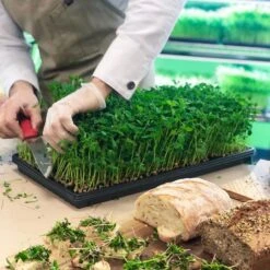 Integrated 4' LED Grow Light– Dual T8 Sun White Pro Spectrum -Eds Plant Shop integrated 4 led grow light dual t8 sun white pro spectrum 254900