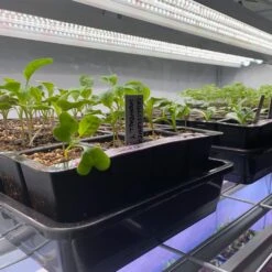 Integrated 4' LED Grow Light– Dual T8 Sun White Pro Spectrum -Eds Plant Shop integrated 4 led grow light dual t8 sun white pro spectrum 410654