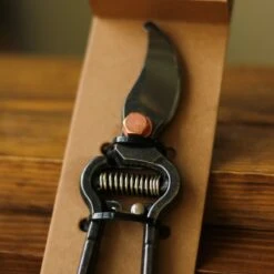 Barebones Japanese Pruner – Timeless Precision For Indoor & Outdoor Gardening -Eds Plant Shop japanese pruner 990560
