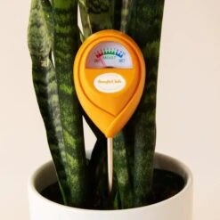 Jungle Club Soil Moisture Meter | Accurate, Battery-Free Plant Care -Eds Plant Shop jungle club soil moisture meter accurate battery free plant care 440085
