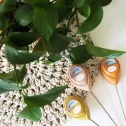 Jungle Club Soil Moisture Meter | Accurate, Battery-Free Plant Care -Eds Plant Shop jungle club soil moisture meter accurate battery free plant care 892057