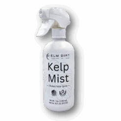 Kelp Mist -Eds Plant Shop kelp mist 154753