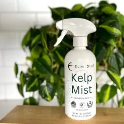 Kelp Mist