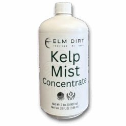 Kelp Mist -Eds Plant Shop kelp mist 601544