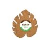 Kostr – The Sustainable Plant Pot Coaster- Monstera Leaf -Eds Plant Shop kostr the sustainable plant pot coaster monstera leaf 958858