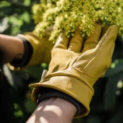 Barebones Kunar Glove: Premium All-Purpose Work Glove: Natural/Yellow -Eds Plant Shop kunar glove premium all purpose work glove naturalyellow 874797