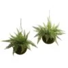 Leather Fern Hanging Basket Set (Set Of 2) – Perfect Indoor And Outdoor Décor
