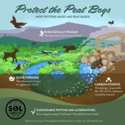 LECA Balls – Lightweight Expanded Clay Aggregate For Propagation & Drainage -Eds Plant Shop leca balls 642340