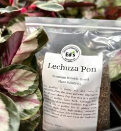LECHUZA-PON Soilless Potting Mix 2 Quarts | Clean & Effective -Eds Plant Shop lechuza pon soilless potting mix 2 quarts clean effective 749438