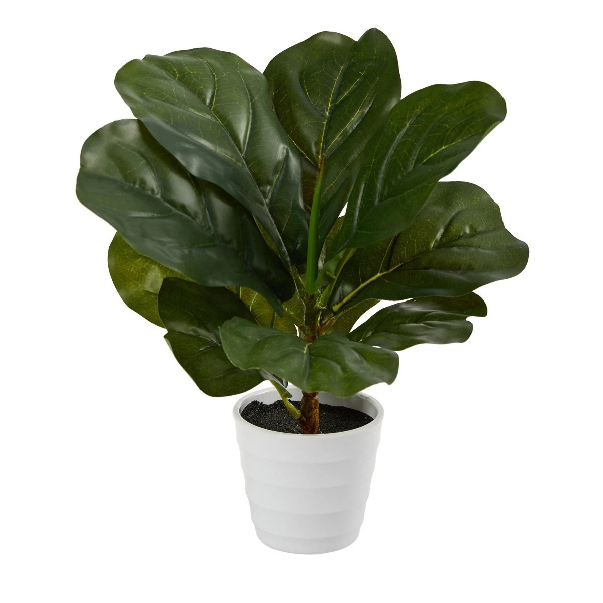 Lifelike 11-in Faux Fiddle Leaf Fig – Perfect Indoor Greenery 3 Lifelike 11-in Faux Fiddle Leaf Fig – Perfect Indoor Greenery