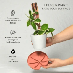 Lili Saucer – Stylish Lily Pad Plant Saucer For Drainage, Root Rot Prevention & Humidity -Eds Plant Shop lili saucer stylish lily pad plant saucer for drainage root rot prevention humidity 3707989