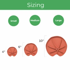 Lili Saucer – Stylish Lily Pad Plant Saucer For Drainage, Root Rot Prevention & Humidity -Eds Plant Shop lili saucer stylish lily pad plant saucer for drainage root rot prevention humidity 7236348