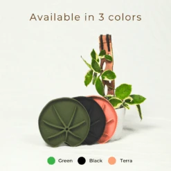 Lili Saucer – Stylish Lily Pad Plant Saucer For Drainage, Root Rot Prevention & Humidity -Eds Plant Shop lili saucer stylish lily pad plant saucer for drainage root rot prevention humidity 7572538