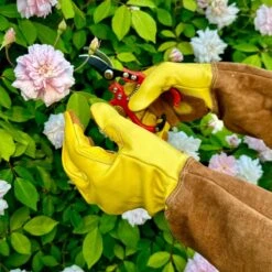 Long Garden Gloves – Rose & Thorn Pruning Gloves (Soft Cowhide) -Eds Plant Shop long garden gloves rose thorn pruning gloves soft cowhide 719703
