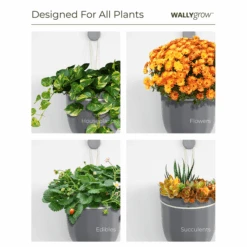 Loop Hanging Planter – Lavender (Self-Watering, Leak-Proof Design) 14 Loop Hanging Planter – Lavender (Self-Watering, Leak-Proof Design) -Eds Plant Shop loop hanging planter lavender self watering leak proof design 301410