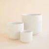 Lucy Planter | White 2 Lucy Planter | White -Eds Plant Shop lucy planter white 191154
