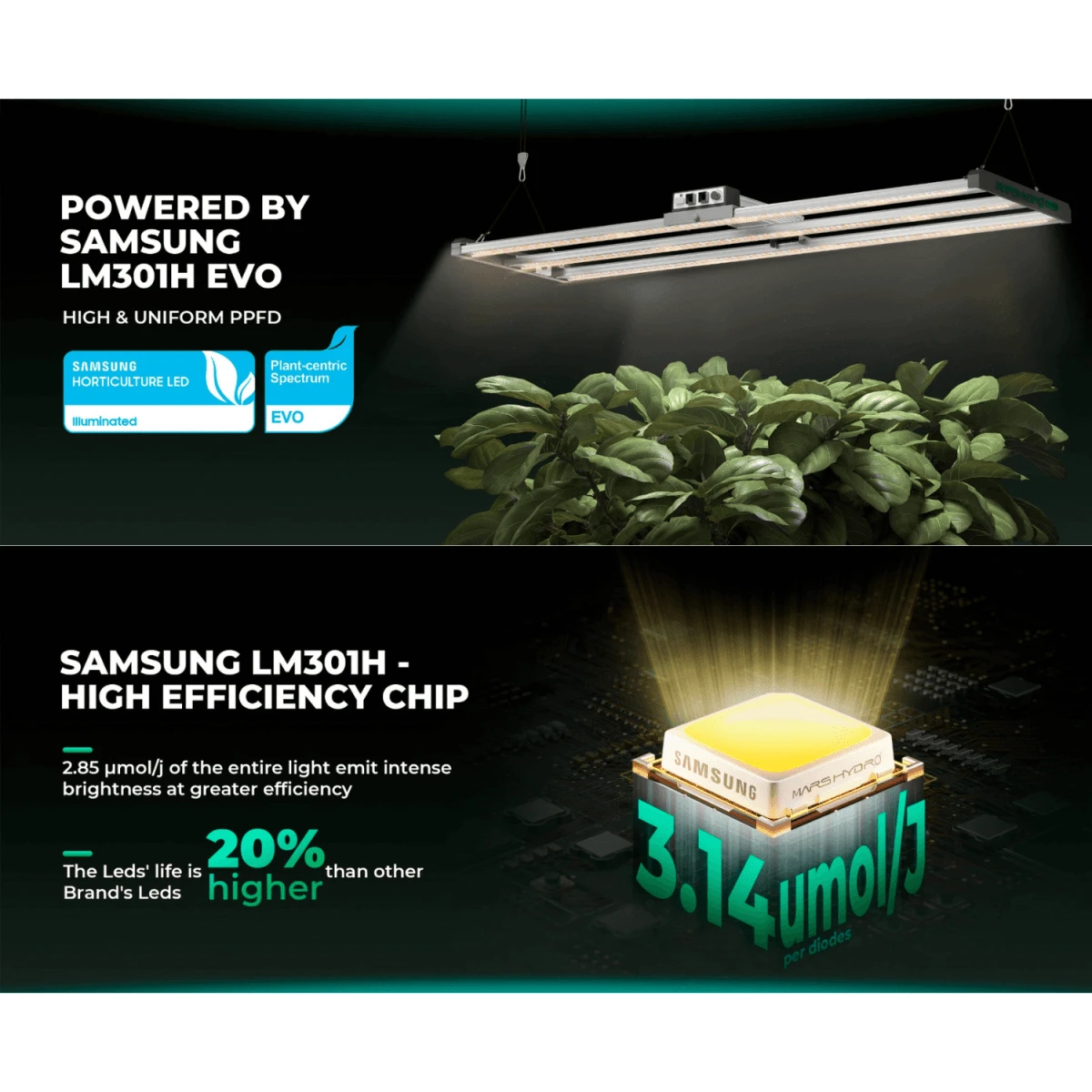 Mars Hydro FC4000-EVO 320W Smart LED Grow Light | Samsung LM301H Chips 14 Mars Hydro FC4000-EVO 320W Smart LED Grow Light | Samsung LM301H Chips - Image 12