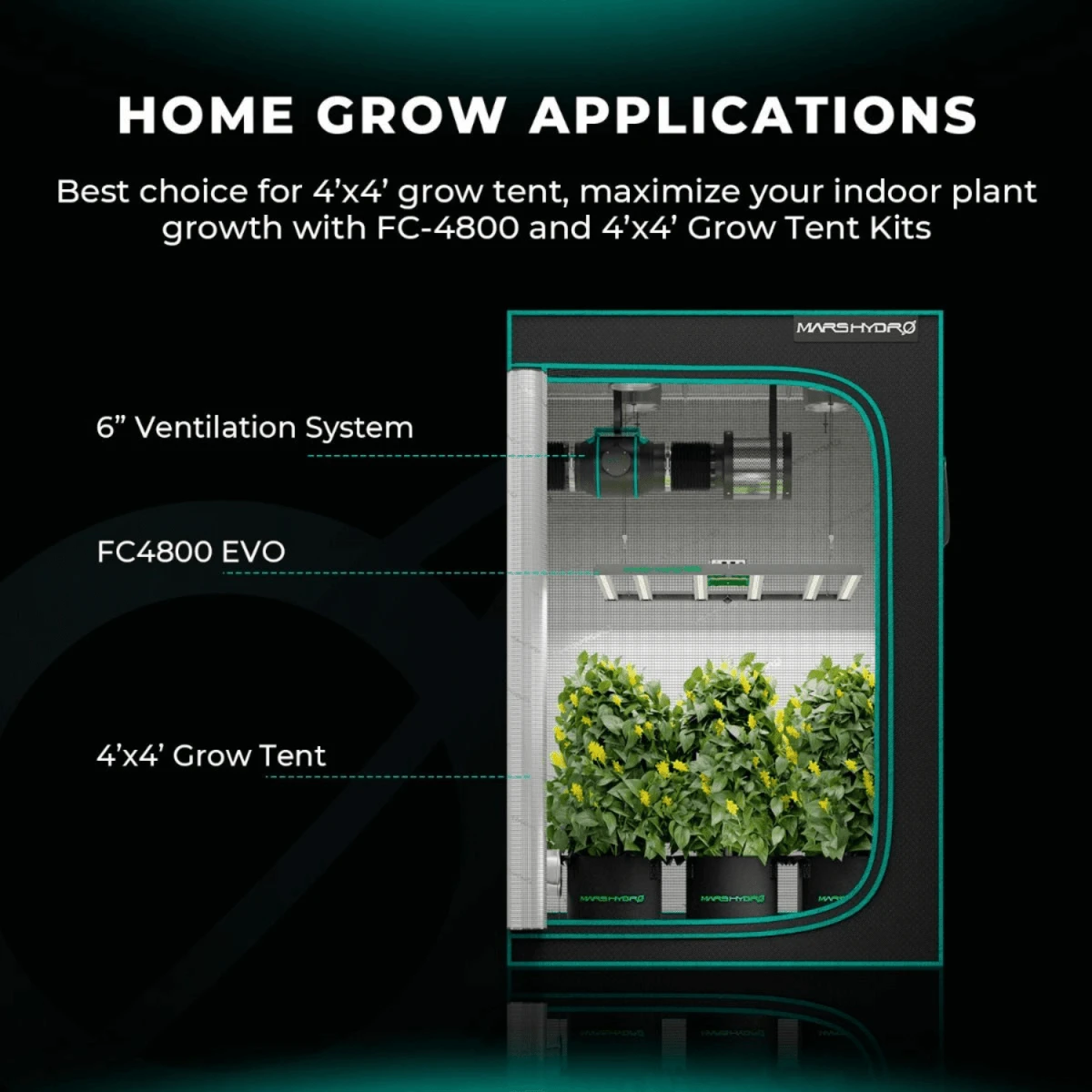 Mars Hydro FC4800-EVO 480W Smart Grow System Samsung LM301H LED Grow Light 11 Mars Hydro FC4800-EVO 480W Smart Grow System Samsung LM301H LED Grow Light - Image 9