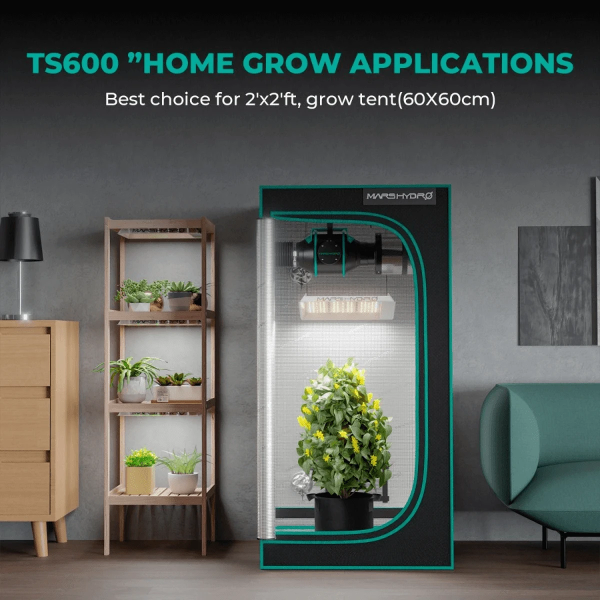 Mars Hydro TS 600 100W Full Spectrum LED Grow Light 10 Mars Hydro TS 600 100W Full Spectrum LED Grow Light - Image 8