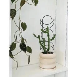 Metal Moon Phase Trellis 7 Metal Moon Phase Trellis -Eds Plant Shop metal moon phase trellis 390073