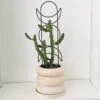 Metal Moon Phase Trellis 1 Metal Moon Phase Trellis -Eds Plant Shop metal moon phase trellis 975201