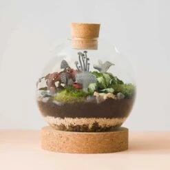 Mini Mushrooms- Terrarium Decor - Steel -Eds Plant Shop mini mushrooms terrarium decor steel 984944