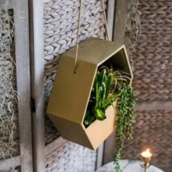 Modern Gold Hexagon Hanging Planter -Eds Plant Shop modern gold hexagon hanging planter 645637