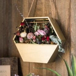 Modern Gold Hexagon Hanging Planter -Eds Plant Shop modern gold hexagon hanging planter 943103