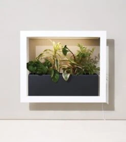 Modern Sprout Black And White Planter Box | Holds Three 4" Plants 11 Modern Sprout Black And White Planter Box | Holds Three 4" Plants -Eds Plant Shop modern sprout black and white planter box holds three 4 plants 458061