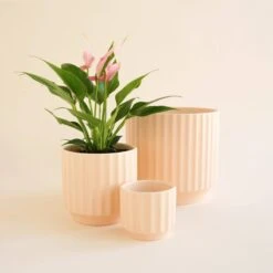 Monroe Planter | Vanilla 9 Monroe Planter | Vanilla -Eds Plant Shop monroe planter vanilla 421223